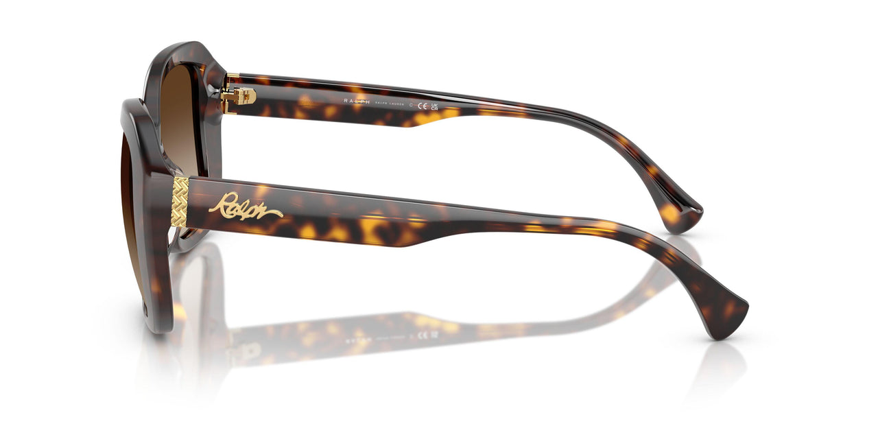 500313 - Brown - Gradient Brown