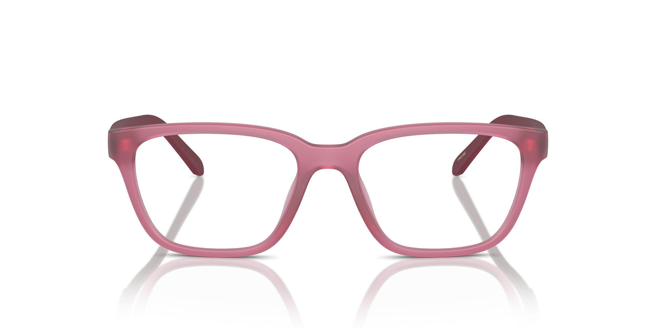 2907 - Pink - Transparent