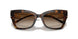 300613 - Tortoise - Brown Gradient