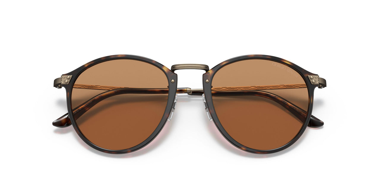 502653 - Havana - Brown