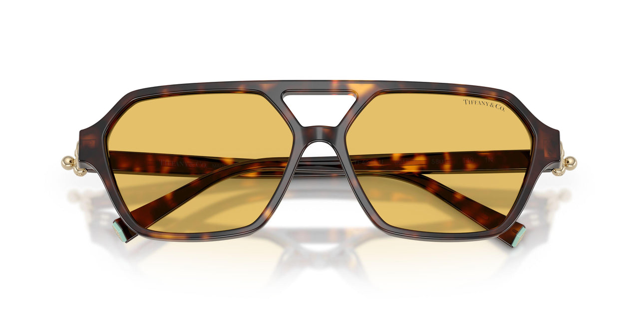 801585 - Tortoise - Yellow