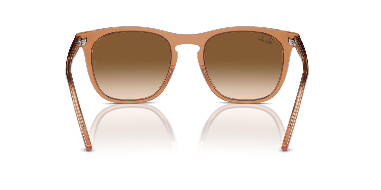 676451 - Brown - Clear & Brown