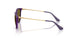 717973 - Violet - Dark Brown