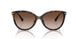 300613 - Tortoise - Brown Gradient