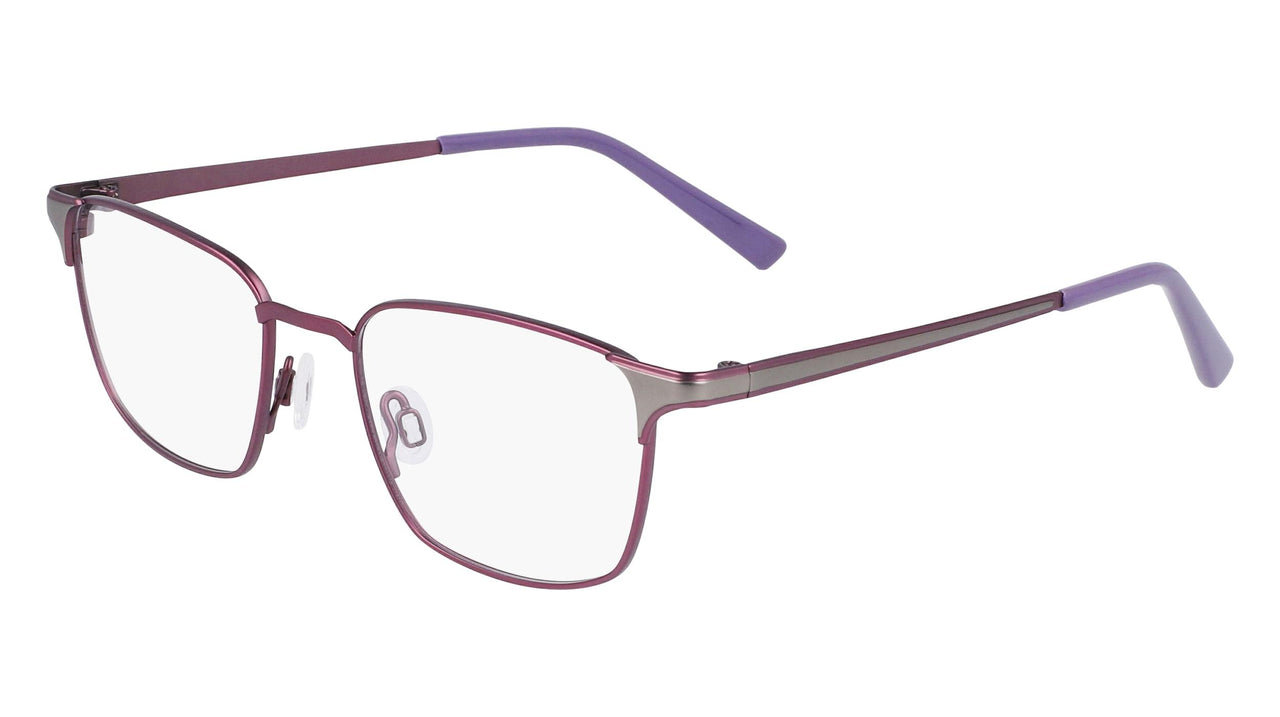 Flexon J4012 Eyeglasses