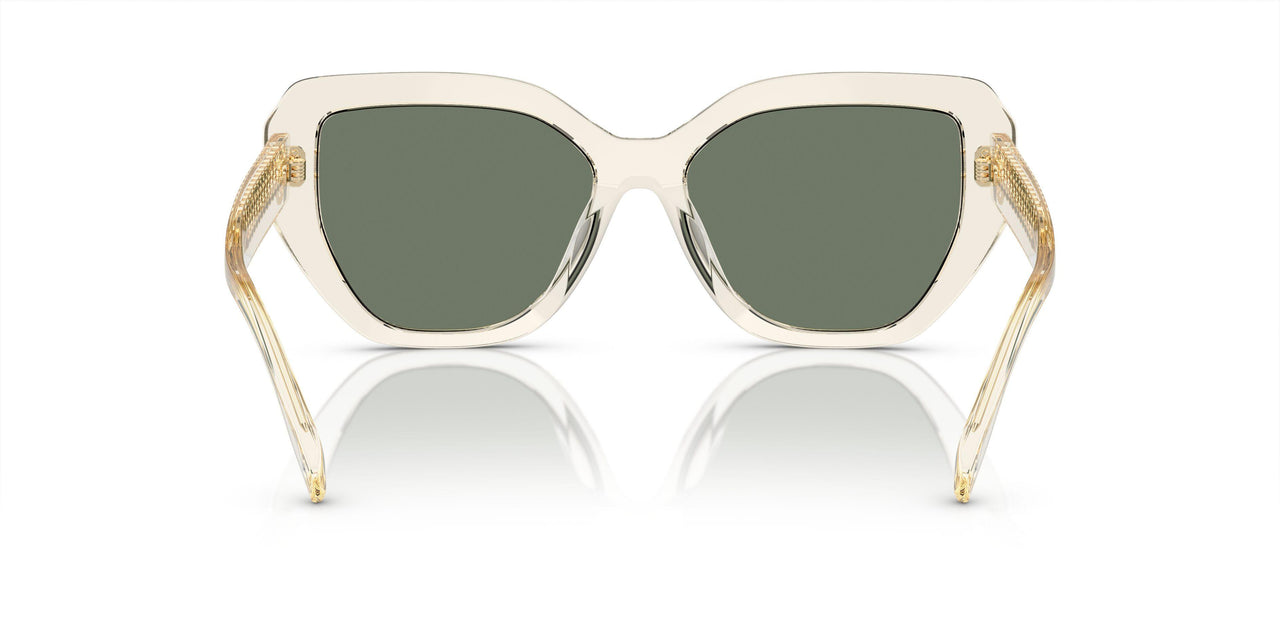 19523H - Transparent - Dark Green