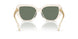 19523H - Transparent - Dark Green