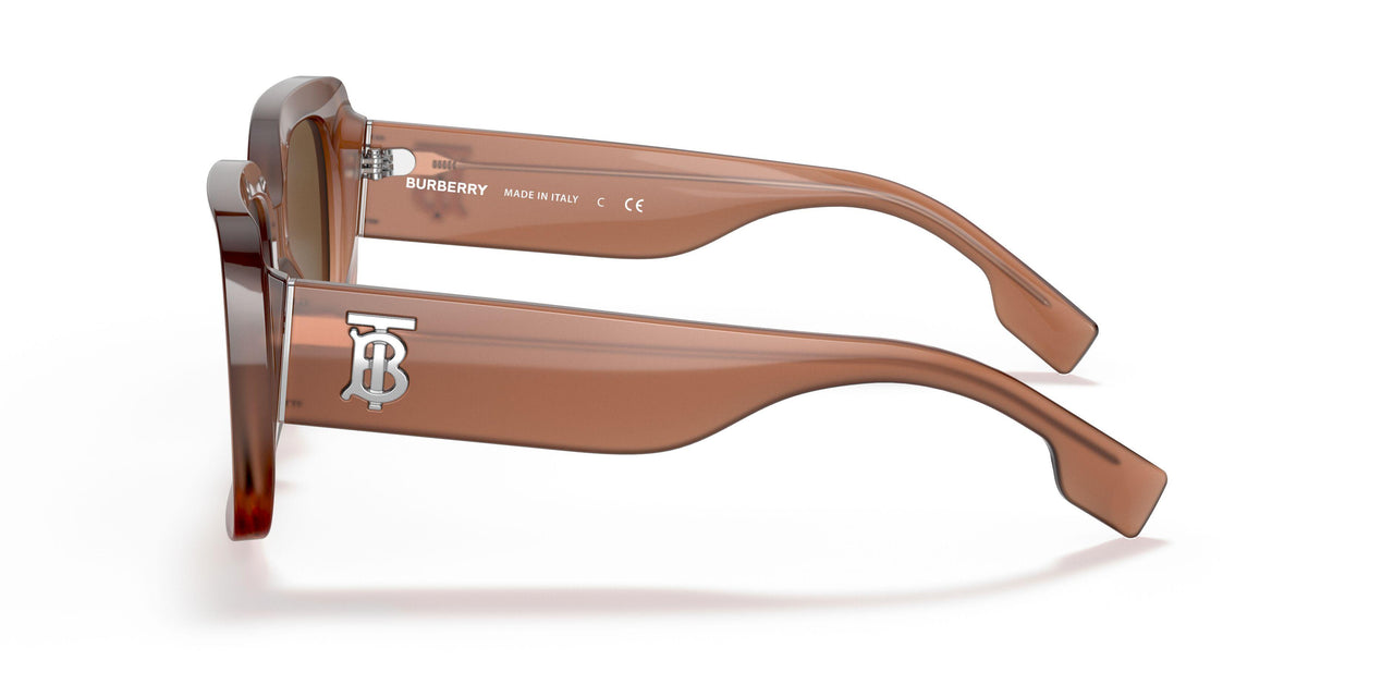 317373 - Light Brown - Brown