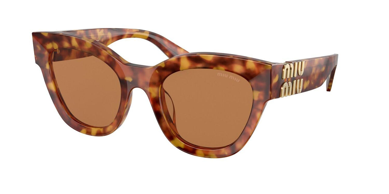 4BW2Z1 - Tortoise - Brown
