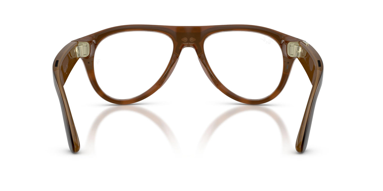 6905M4 - Tortoise - Clear/brown