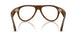 6905M4 - Tortoise - Clear/brown