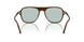 1625 - Brown