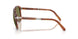 96/P1 - Brown - Polar Green