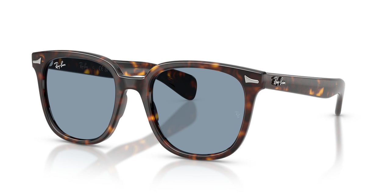 Ray-Ban Brunel Ii 2235F Sunglasses