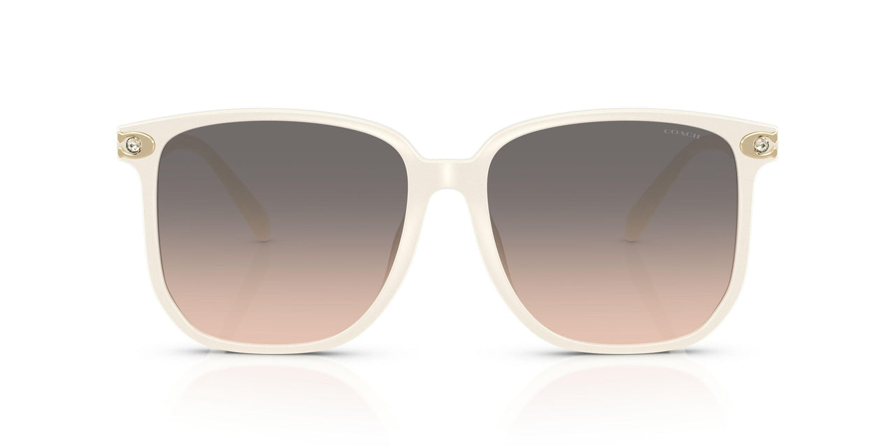 5853G9 - Ivory - Warm Grey Gradient