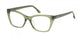 HOLLISTER 50039 Eyeglasses