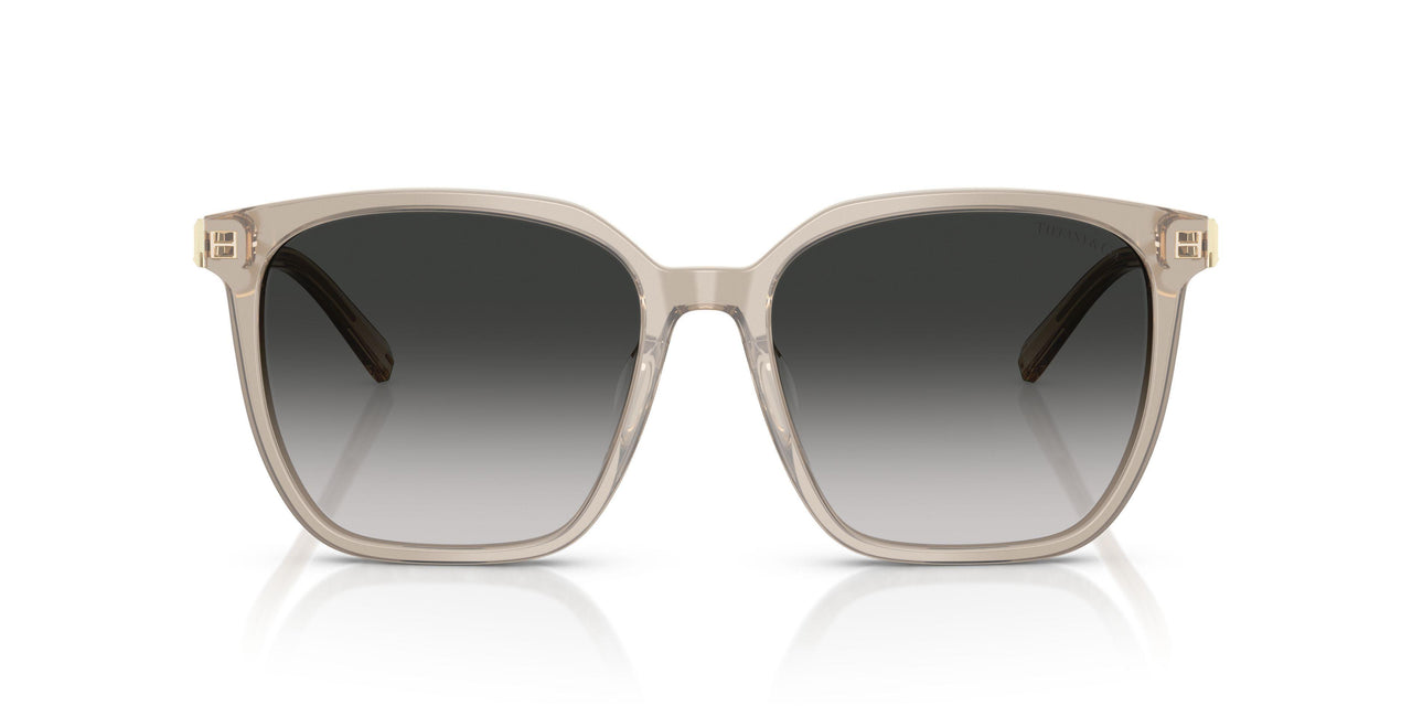82503C - Brown - Grey Gradient
