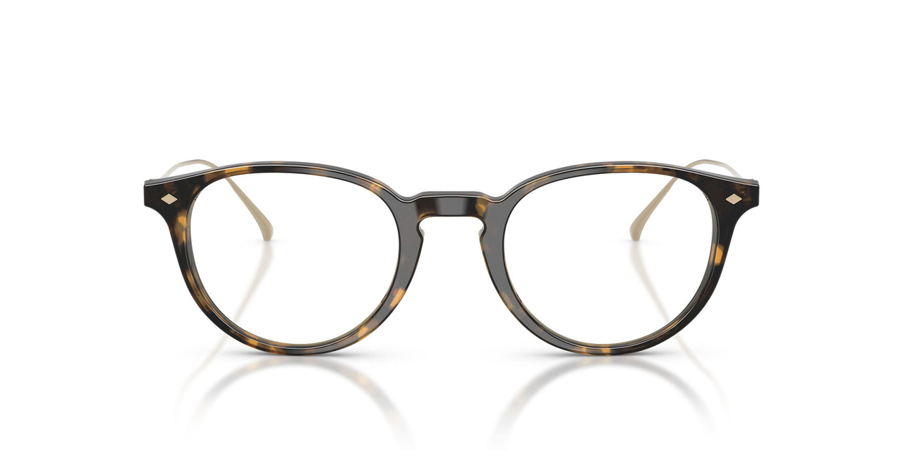 6207 - Tortoise