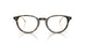 6207 - Tortoise