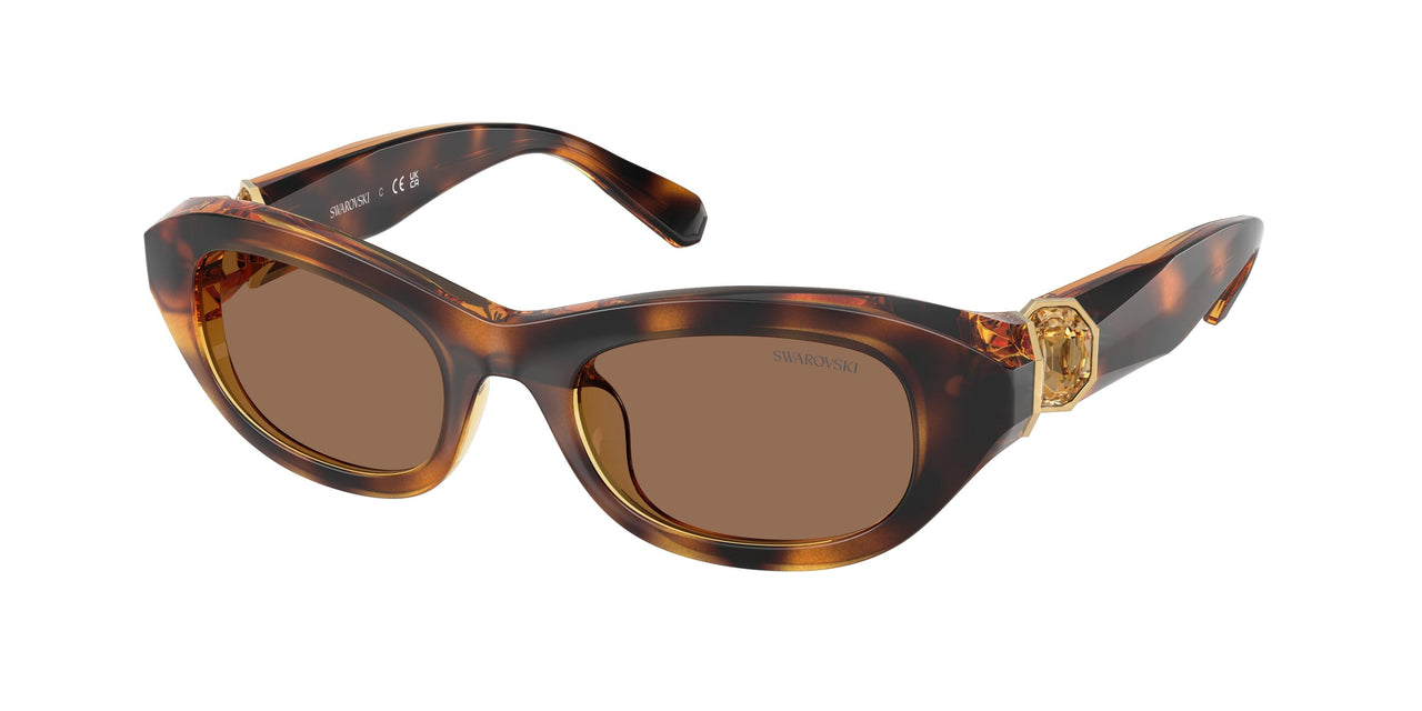 100273 - Tortoise - Dark Brown