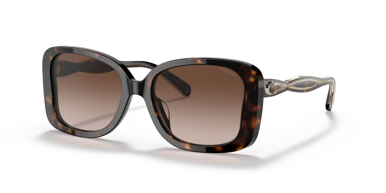 512013 - Havana - Dark Brown Gradient