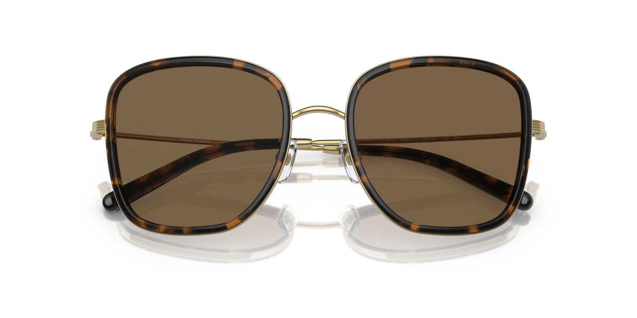 336373 - Tortoise - Brown Gradient