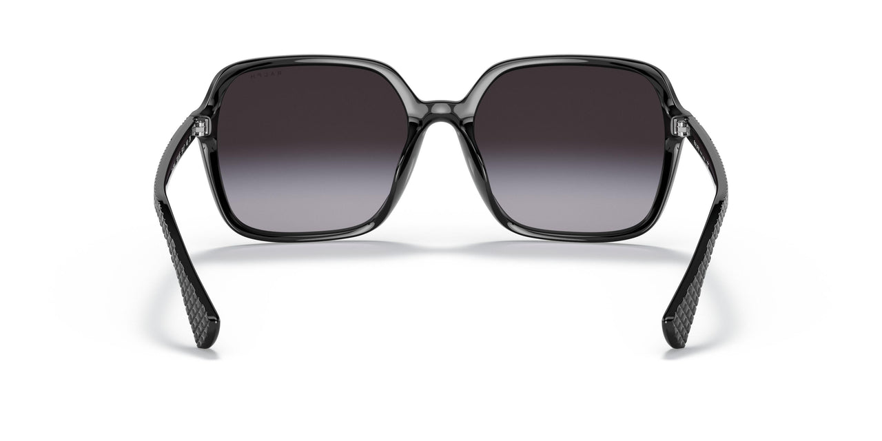 50018G - Black - Gradient Grey