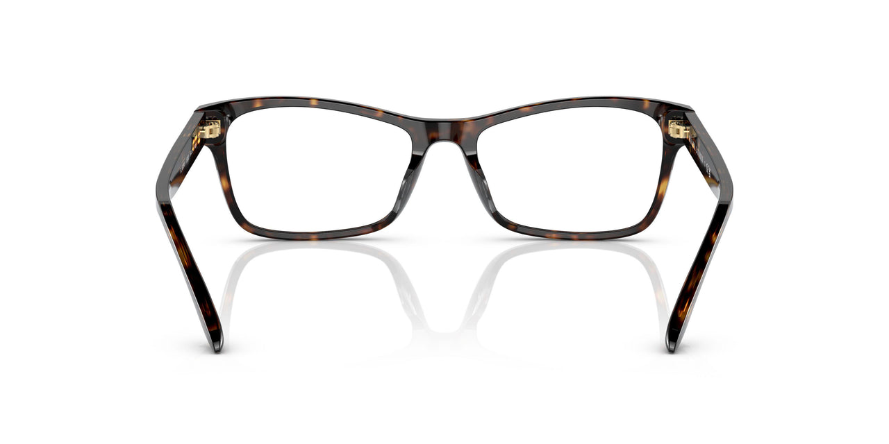 5003 - Brown