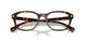 5003 - Tortoise