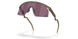 928022 - Brown - Prizm Road Black