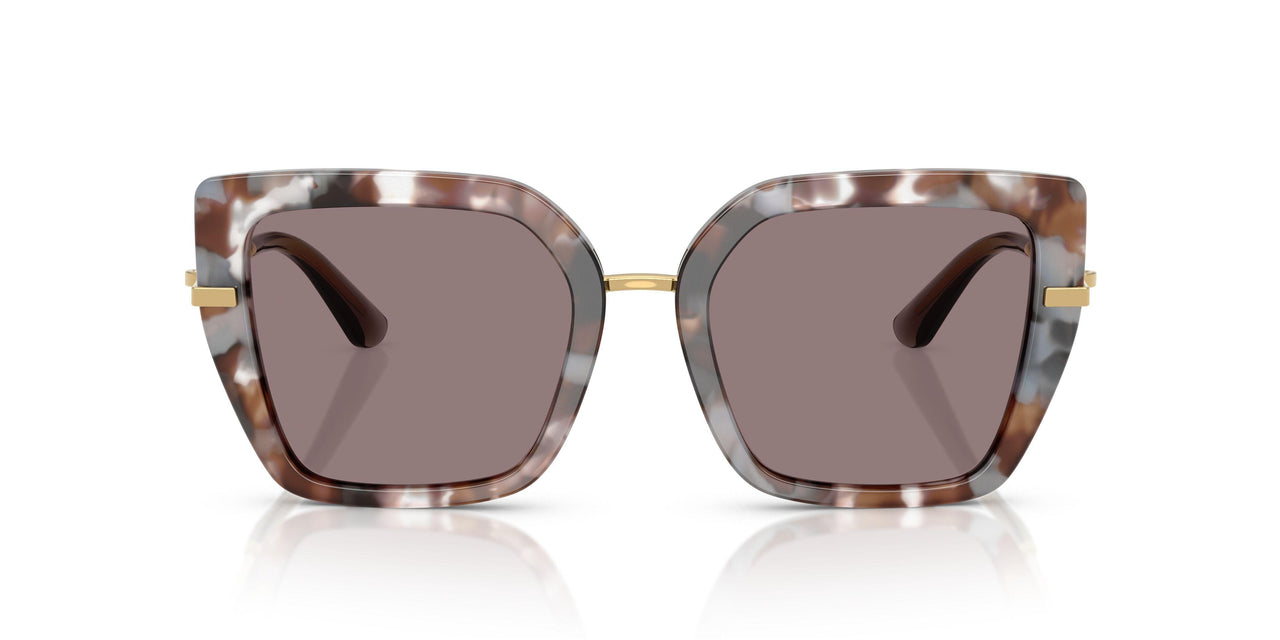 34457N - Tortoise - Purpe Brown