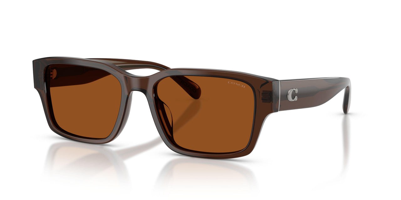 591173 - Brown - Brown Solid