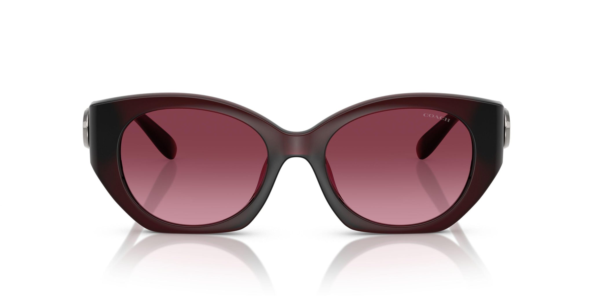 Coach Cw194 8407U Sunglasses display picture 1