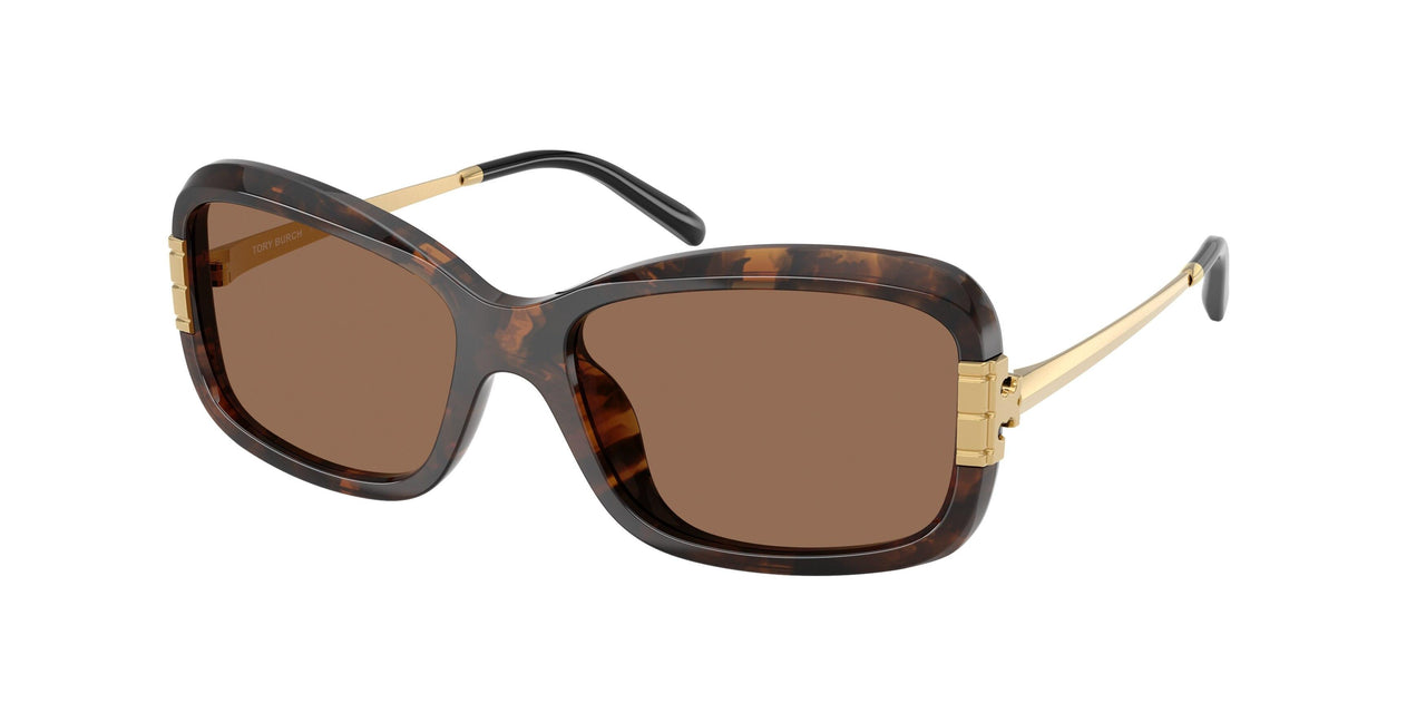 199273 - Tortoise - Dark Brown