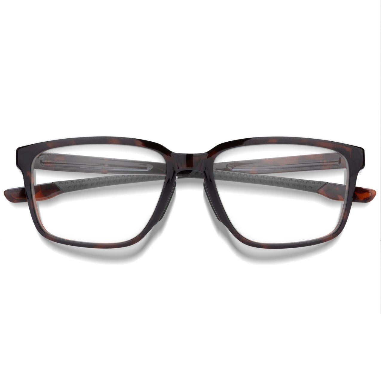 1099679N45616 - Tortoise