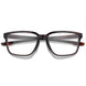 1099679N45616 - Tortoise