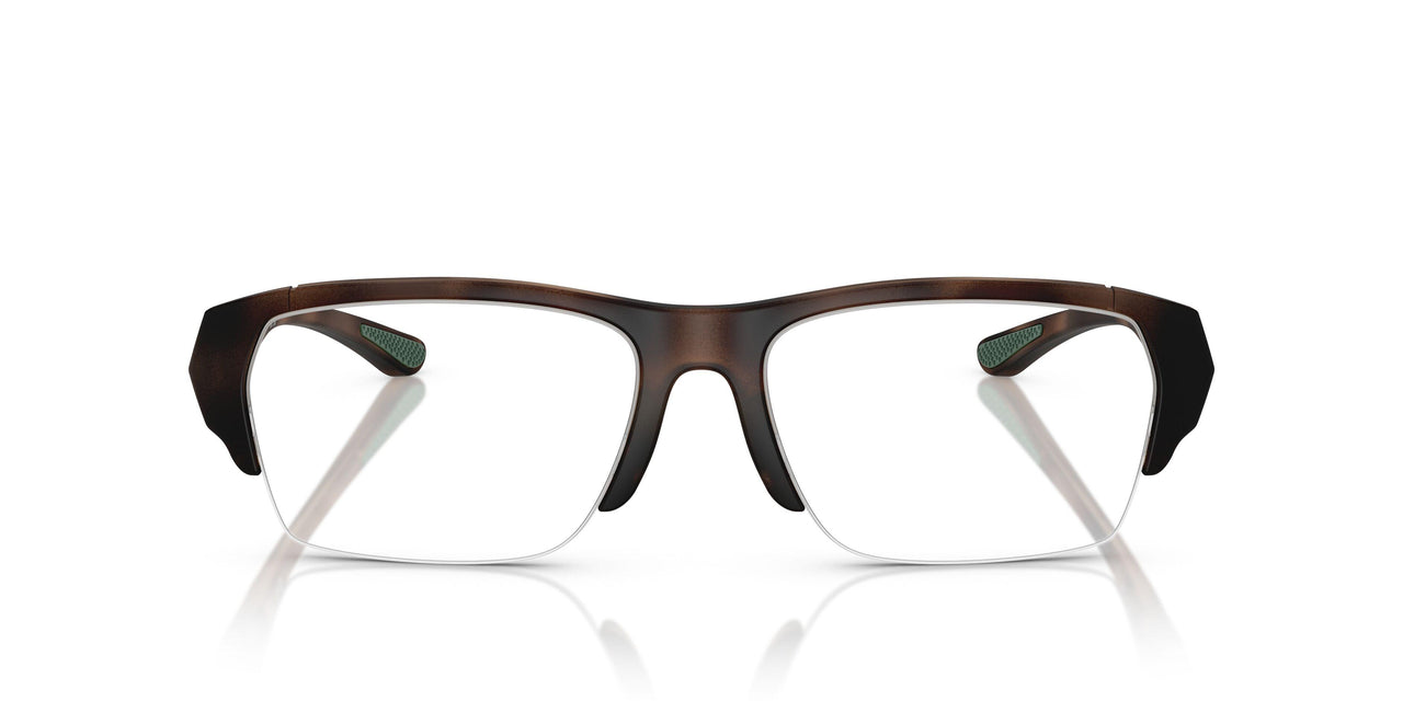 6070 - Tortoise