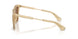 419873 - Yellow - Dark Brown