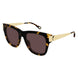003 - Havana/Gold - Violet
