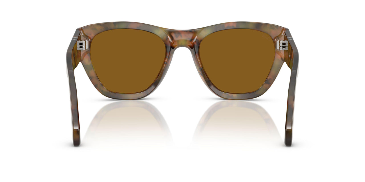 108/33 - Tortoise - Brown