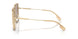 134913 - Brown - Brown Gradient