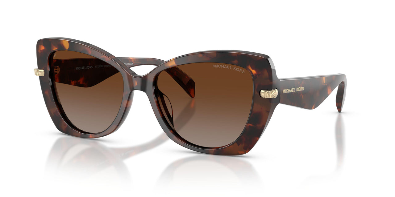 4031T5 - Tortoise - Brown Gradient Polar