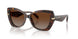 4031T5 - Tortoise - Brown Gradient Polar