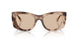 509793 - Tortoise - Light Brown