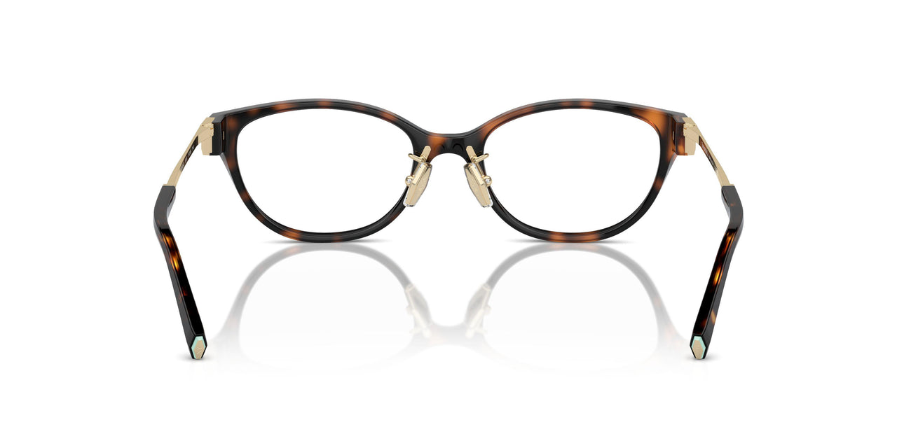 8015 - Tortoise