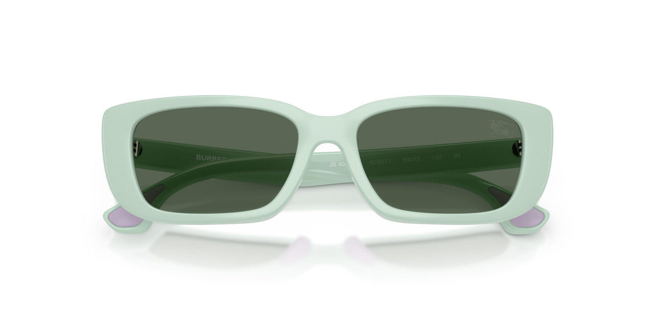 423071 - Green - Dark Green
