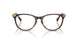 8015 - Tortoise