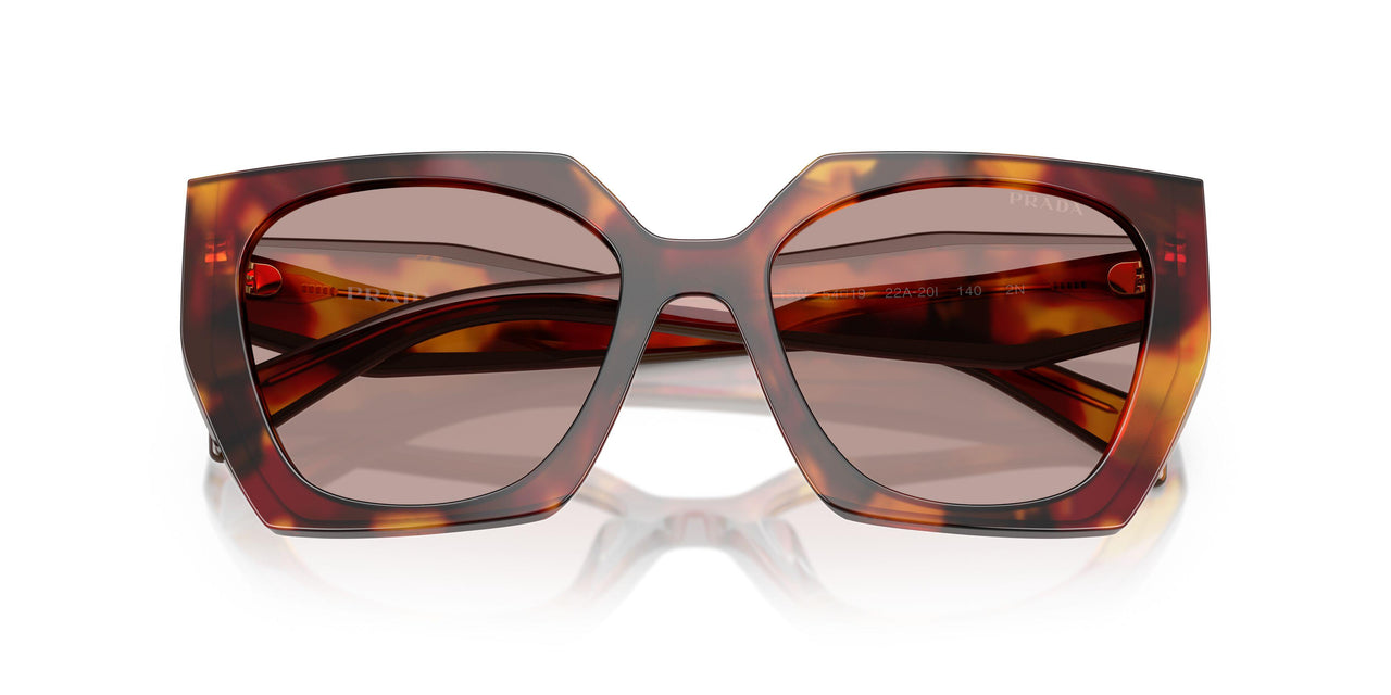 22A20I - Tortoise - Light Purple Brown