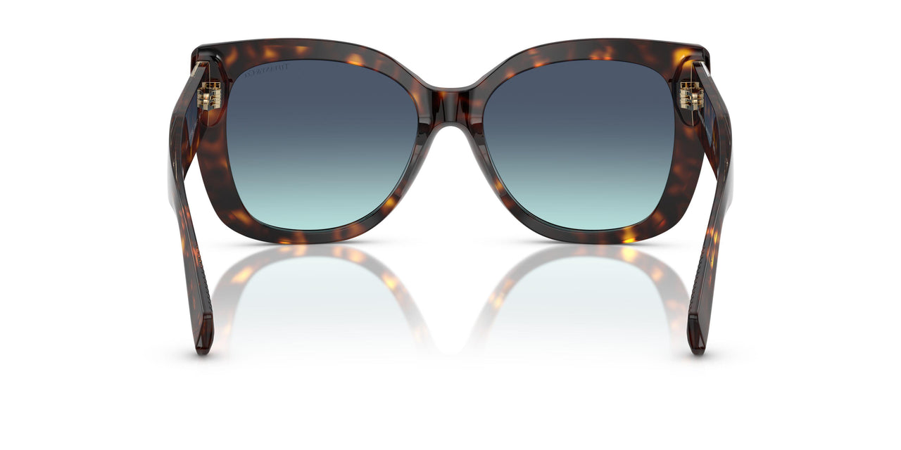 80159S - Tortoise - Azure Gradient Blue