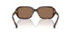 500373 - Tortoise - Brown
